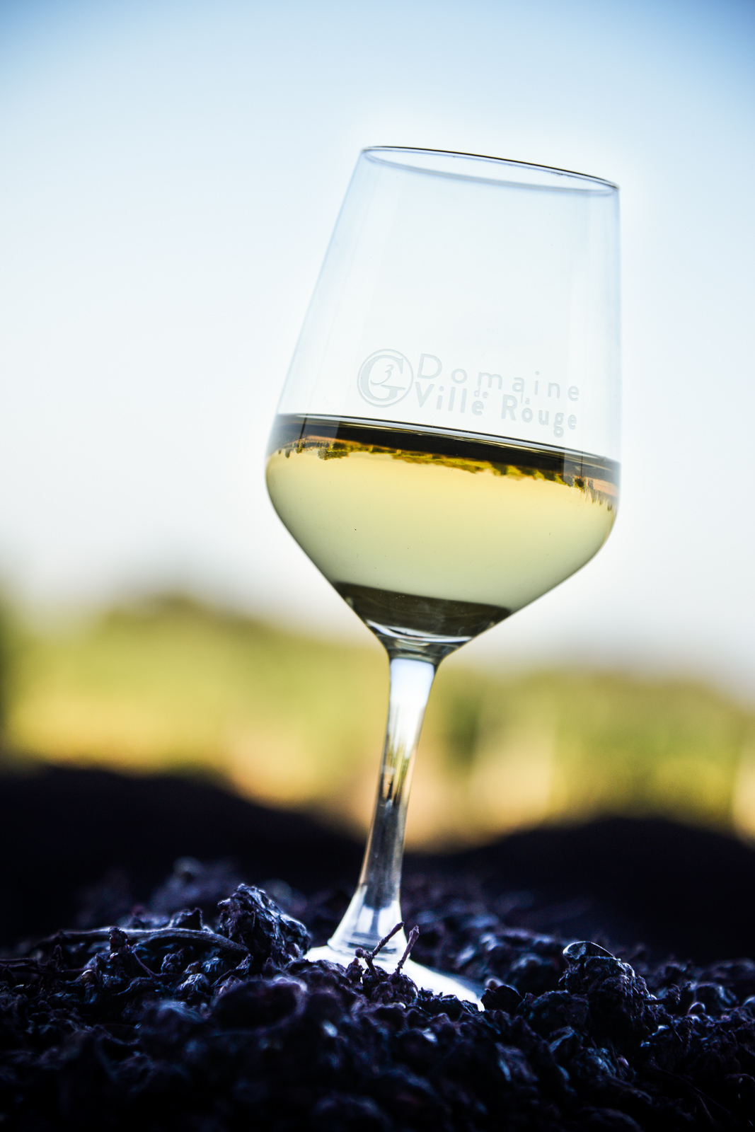 Domaine de la ville rouge _ vin